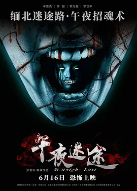 午夜迷途 (2013)